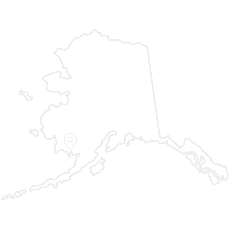 Alaska map showing Dillingham location