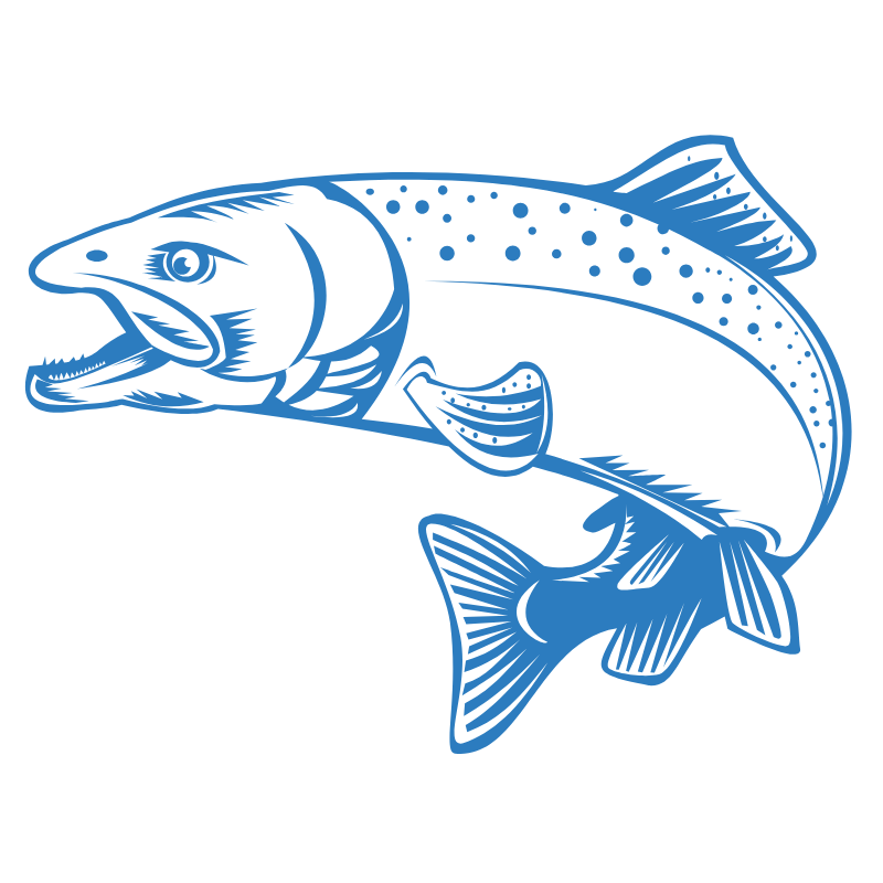 Stylized blue salmon illustration